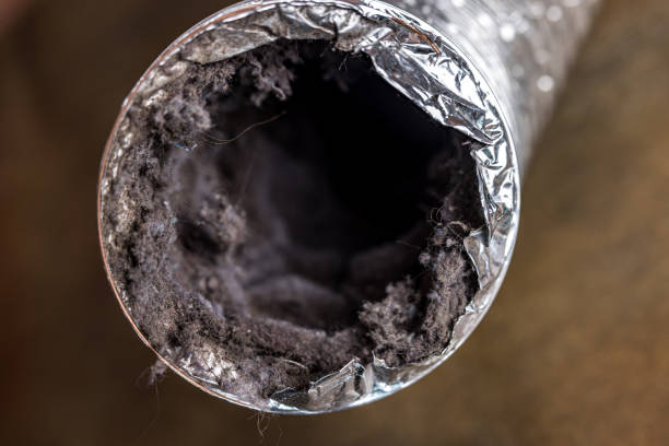 Best Best Air Duct Cleaning Company  in Mapleton, MN