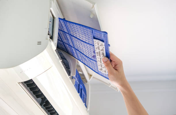 Best Air Duct Cleaning Near Me  in Mapleton, MN