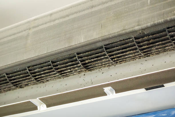 Best Dryer Vent Cleaning Services  in Mapleton, MN