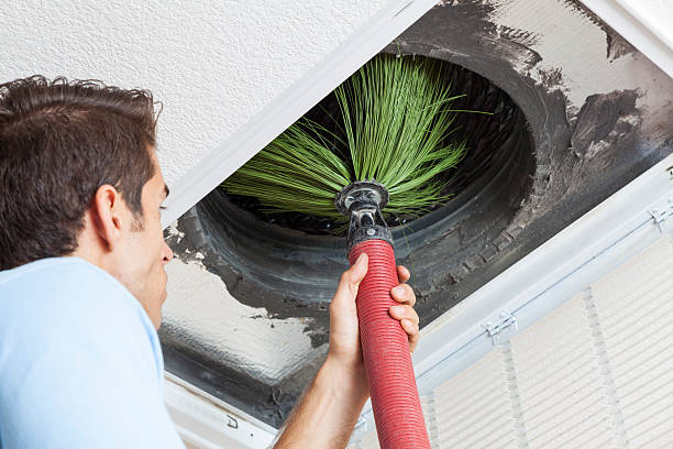 Best Air Duct Cleaning Company Near Me  in Mapleton, MN