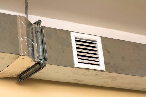 Best HVAC Air Duct Cleaning  in Mapleton, MN